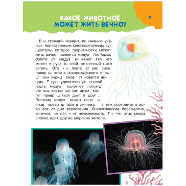 100 тысяч почему. Вопрос-ответ.