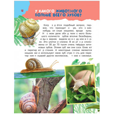 100 тысяч почему. Вопрос-ответ.