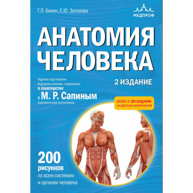 Анатомия человека. 2 изд.