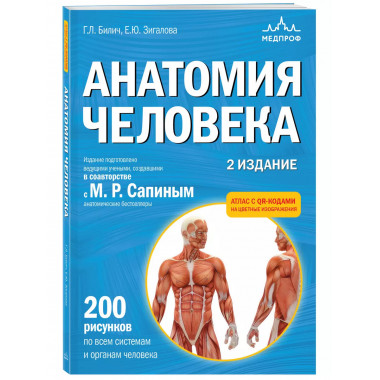 Анатомия человека. 2 изд.