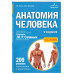Анатомия человека. 2 изд.