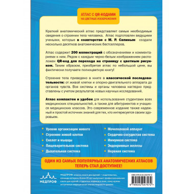 Анатомия человека. 2 изд.