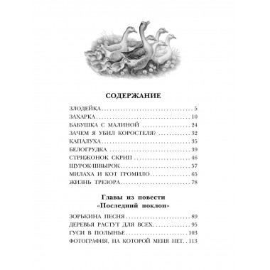 Белогрудка. Рассказы для детей.