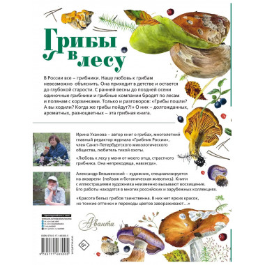 Грибы в лесу.