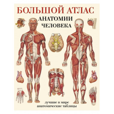 Большой атлас анатомии человека.