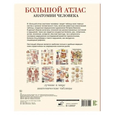 Большой атлас анатомии человека.