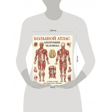 Большой атлас анатомии человека.