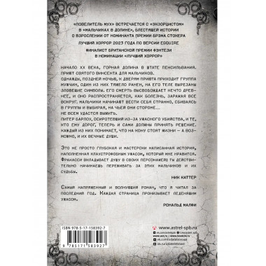 Мальчики в долине.