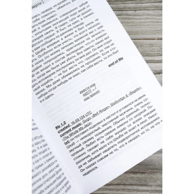 Я, Хобо: Времена смерти.