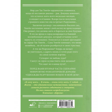 Однажды Разрушение вошло в мой дом. Сценарий. Часть 2.