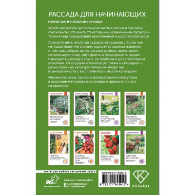 Рассада для начинающих. Первые шаги к богатому урожаю.