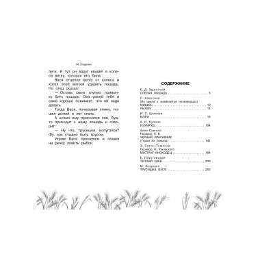 Большая книга про лошадок.