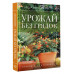 Урожай без грядок. Огород в контейнерах.