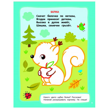 Животные. Раскраски с широким контуром.