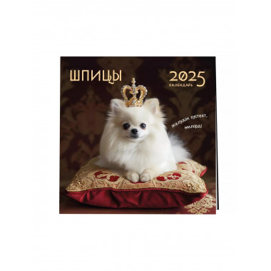 Шпицы. Календарь настенный на 2025 год (300х300).