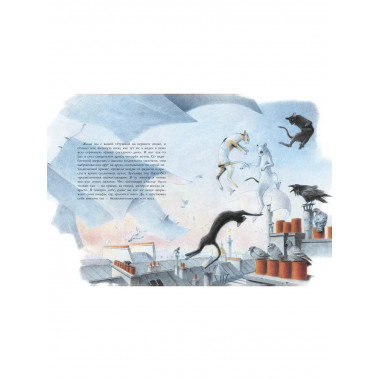 Кошачий рай.