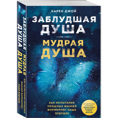 Заблудшая душа - мудрая душа. Как испытания прошлых жизней ф
