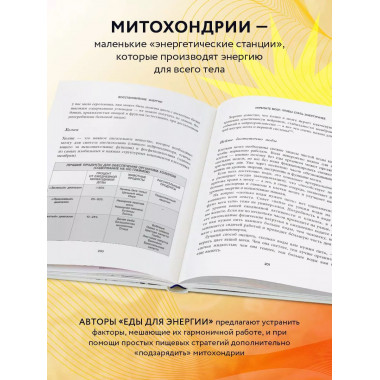 Еда для энергии. Как победить усталость, зарядить свой мозг