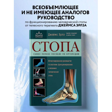 Стопа. Самое полное пособие по ортопедии.