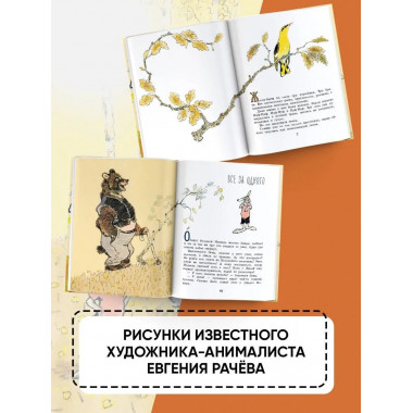 Весёлые зайцы. Рисунки Е. Рачева.