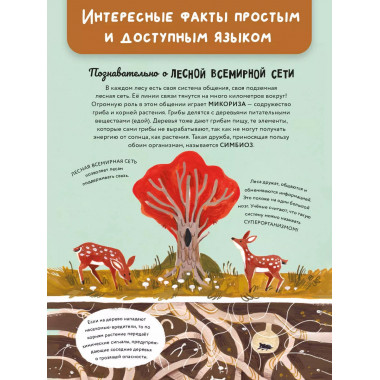 Чудеса природы. Пятиминутные истории для детей.