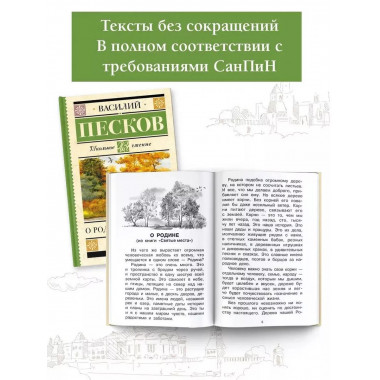 Родине. Рассказы.