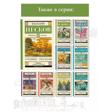 Родине. Рассказы.