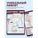 Анатомия. Самая компактная анатомическая таблица.