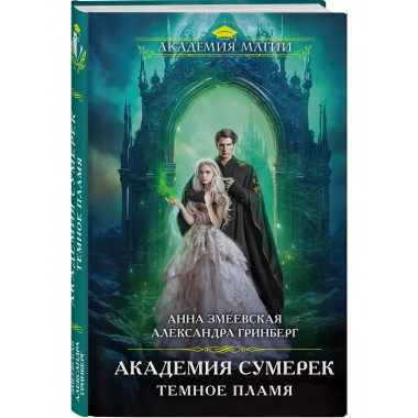 Академия сумерек. Темное пламя.