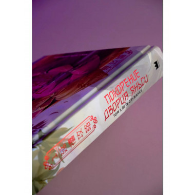 Покорение дворца Яньси. Том 1. Путь служанки.