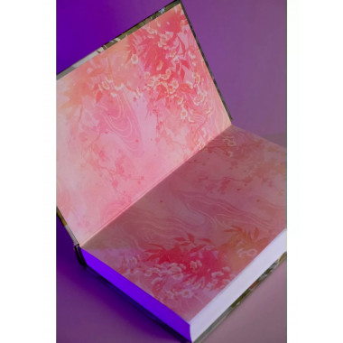 Покорение дворца Яньси. Том 1. Путь служанки.