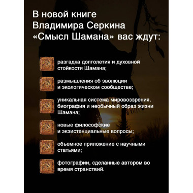 Смысл Шамана.