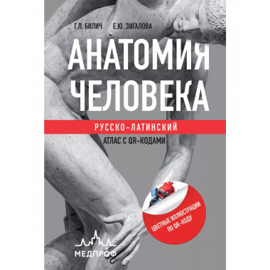 Анатомия человека.