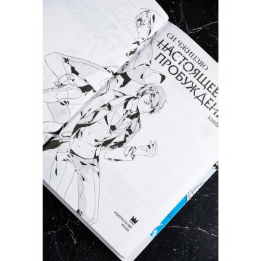 Настоящее пробуждение. Real Awakening. Книга 1.