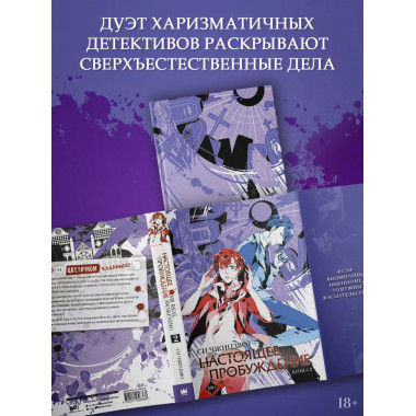 Настоящее пробуждение. Real Awakening. Книга 2.