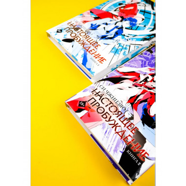 Настоящее пробуждение. Real Awakening. Книга 2.