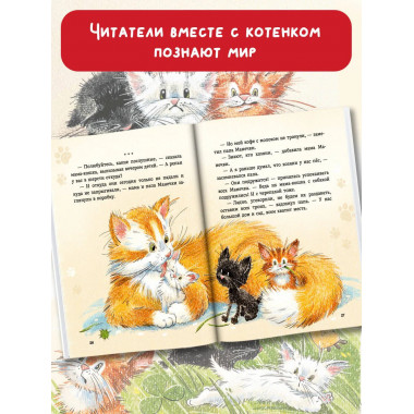 Курочкин котенок.