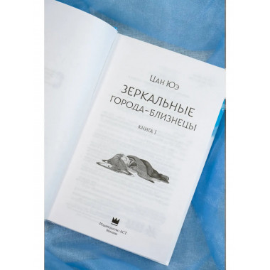 Зеркальные города-близнецы. Книга 1.