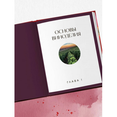 Вино к еде. Искусство идеального сочетания.