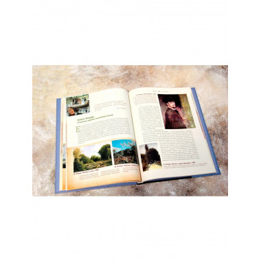 Как читать и понимать шедевры импрессионизма.