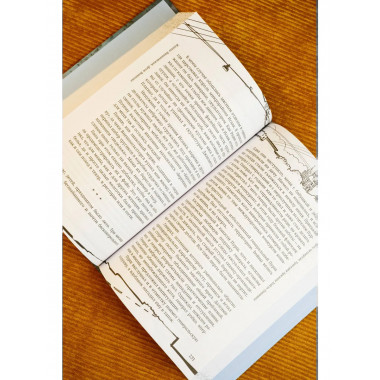 Дети Воинова. Коммунальные конфорки.