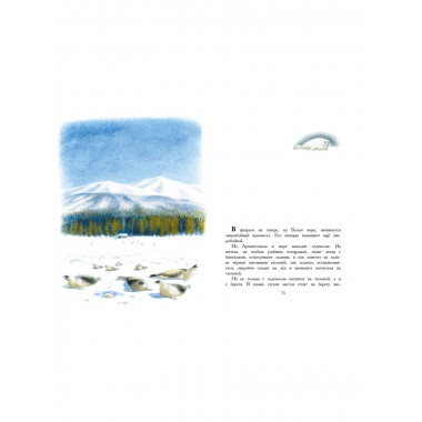 Арктур - гончий пёс. Рис. Н. Устинова.