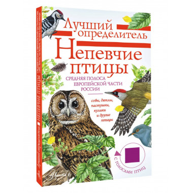 Непевчие птицы. Средняя полоса европейской части России.