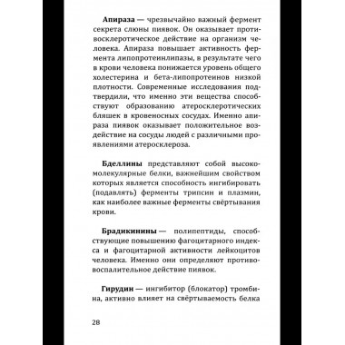 Целебная сила пиявки.