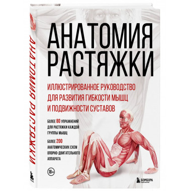 Анатомия растяжки.