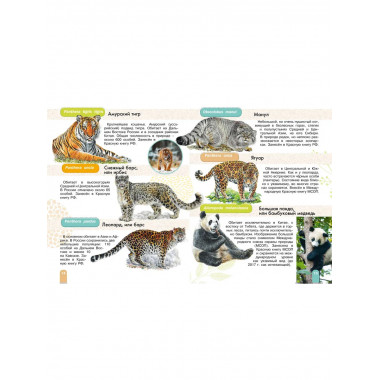 Красная книга. Активити.