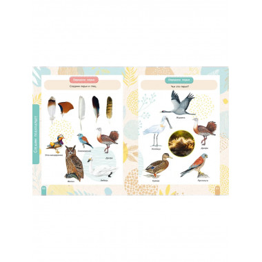 Красная книга. Активити.