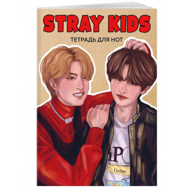 Тетрадь для нот. Stray Kids. Хан и Ли Ноу