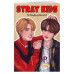 Тетрадь для нот. Stray Kids. Хан и Ли Ноу