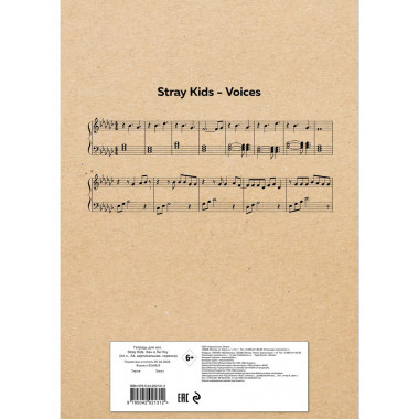 Тетрадь для нот. Stray Kids. Хан и Ли Ноу